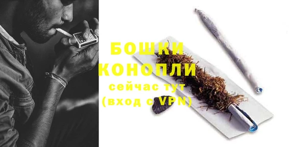 каннабис Богданович