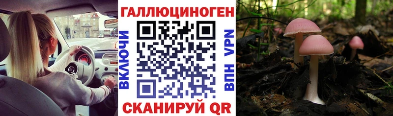 Галлюциногенные грибы MAGIC MUSHROOMS  кракен ТОР  сайты даркнета как зайти  Донецк 
